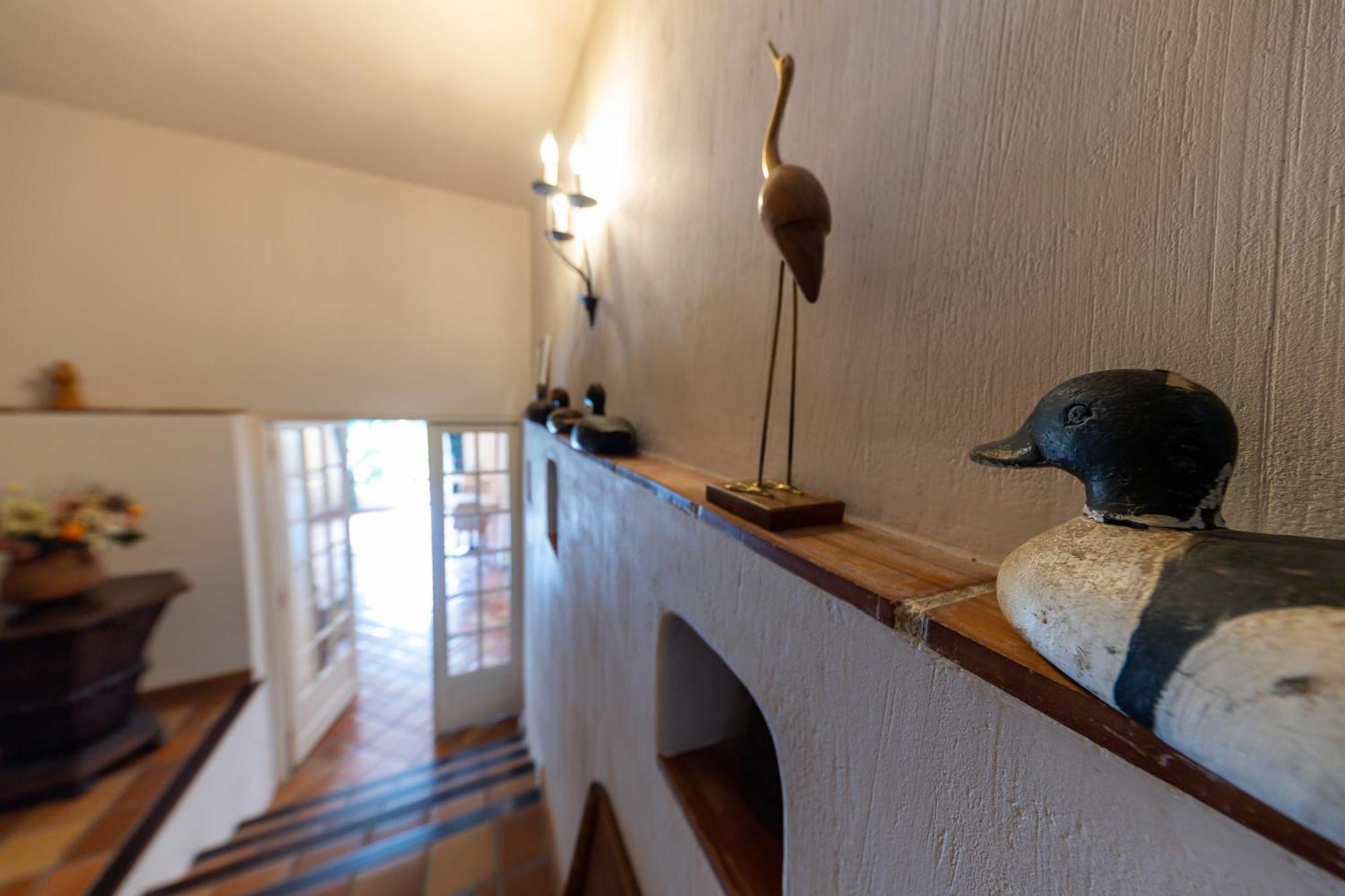 Hotel Le Mas Trilles Céret Εξωτερικό φωτογραφία