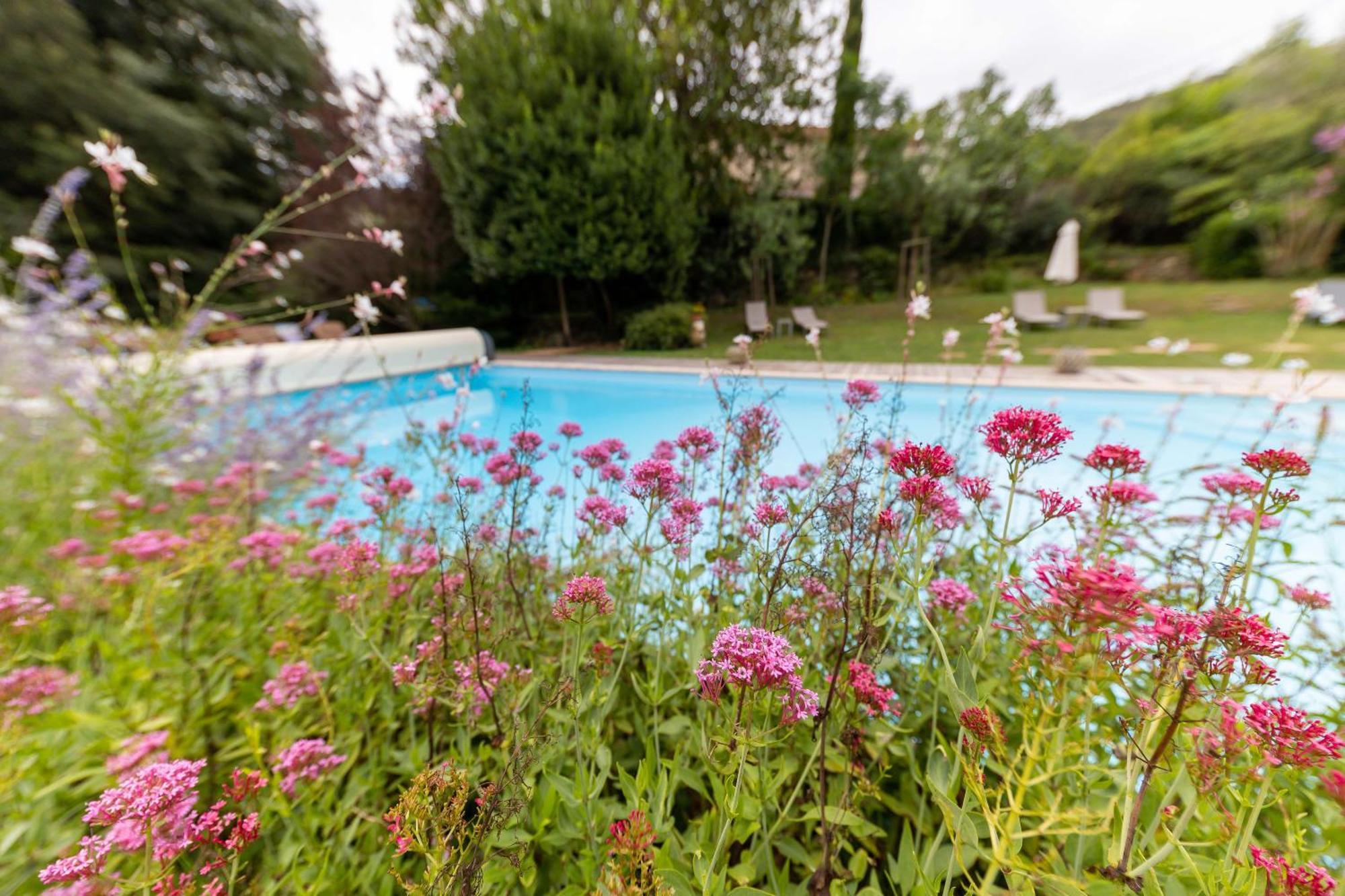 Hotel Le Mas Trilles Céret Εξωτερικό φωτογραφία