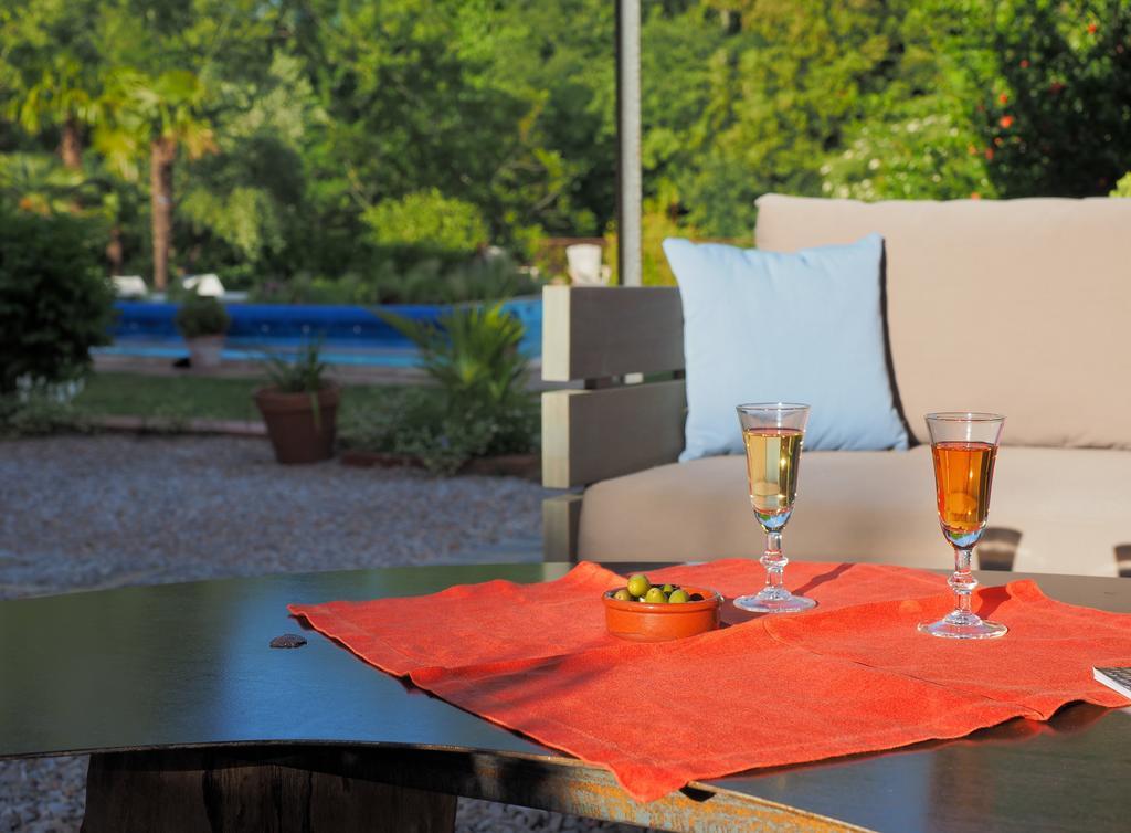 Hotel Le Mas Trilles Céret Εξωτερικό φωτογραφία
